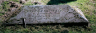 Thomas CHATFIELD 1796-1869 grave