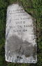Laura Ann FRENCH c1821-1869 grave