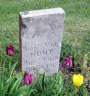 Abbie Viola CHATFIELD 1964-1918 grave