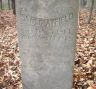 Isaac Whitfield CHATFIELD 1814-1878 grave