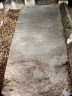 Sarah Ann MONTAGUE 1843-1924 grave