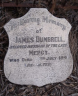 James Dumbrell 1863 - 1941