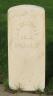Joseph Starr CHATFIELD 1830-1882 grave