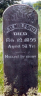 Miller Dayton MULFORD 1837-1895 grave