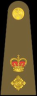 Army Rank Lt Colonel.
