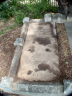 Reginald David KNOTT c1867-1934 grave