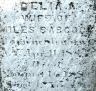 Delia Alma CHATFIELD 1847-1889 grave section