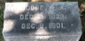 Theodore Edward BEARD Sr. 1833-1901 grave