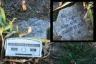 Rebecca June CHATFIELD 1966-1967 grave