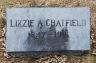 Elizabeth A MEAD 1847-1918 grave