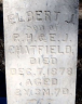 Elbert J CHATFIELD 1876-1879 grave