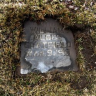 William Alger CHATFIELD 1919-1919 grave
